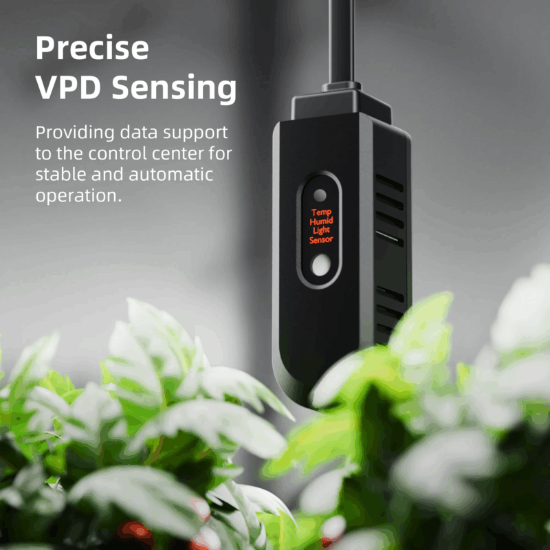 Spider Farmer Luftbefeuchter 5L Cool Mist 4