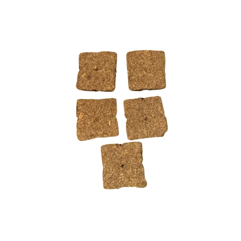 eazyplugs 5 Stück
