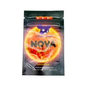 Anesia Seeds Nova OG Verpackung Vorderseite