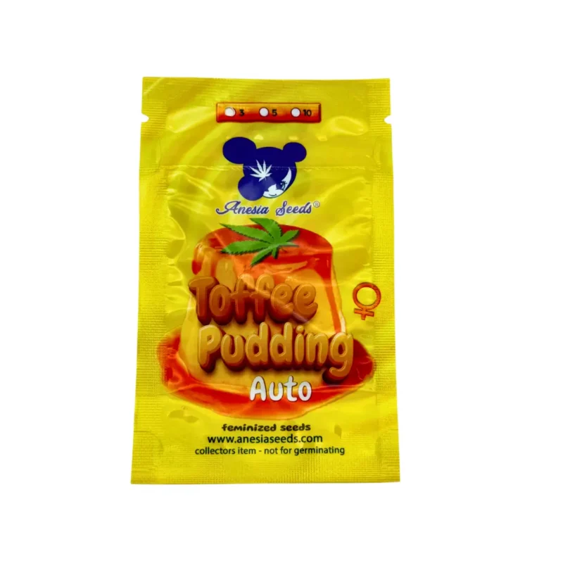 Anesia Seeds Toffee Pudding Auto Verpackung Vorderseite