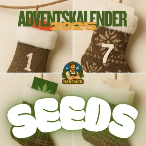 Hanfjack Adventskalender 2025