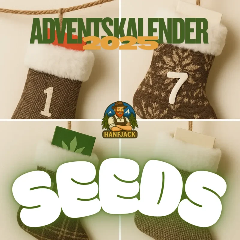 Hanfjack Adventskalender 2025