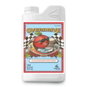 Overdrive 1L 2023 1600x1600px