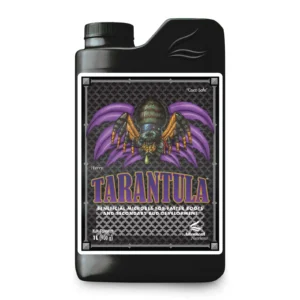 Tarantula 1L 2023 1600x1600px