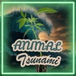 Animal Tsunami