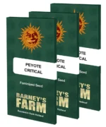 Barneys Farm Peyote Critical Verpackung