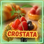Crostata Stecklinge