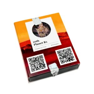 Ethos 10th Planet R1 Verpackung hinten