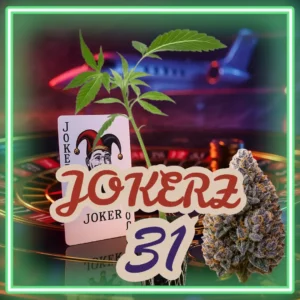 Jokerz 31 Stecklinge
