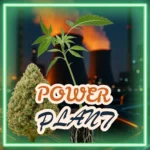 Power Plant Stecklinge