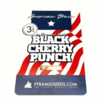 Pyramid Seeds Black Cherry Punch