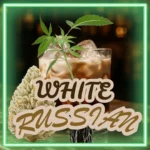 White Russian Stecklinge