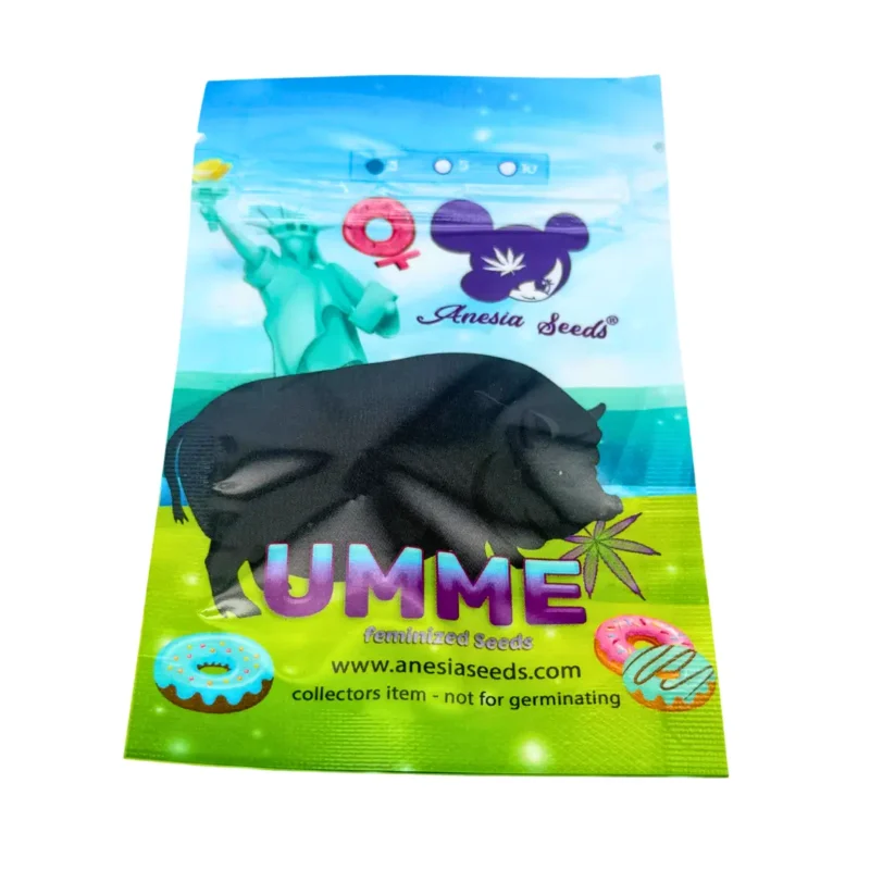Anesia Seeds UMME Verpackung vorne Anesia Seeds UMME Verpackung vorne