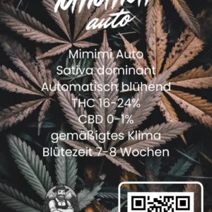 Hanfjack Seeds Mimimi Auto – 3 Seeds