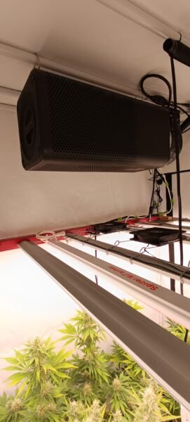 Bild #1 von Matthias D.