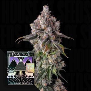 Compound Genetics 90 Proof 3er Pack