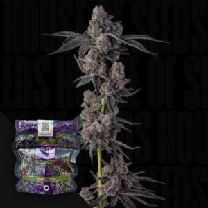 Compound Genetics Mellowz 3er Pack