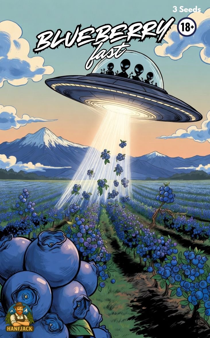 Hanfjack Seeds Blueberry Fast - 3 Seeds