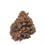 High4Life Royal Genesis OG F1 Triploid - 3er Packung