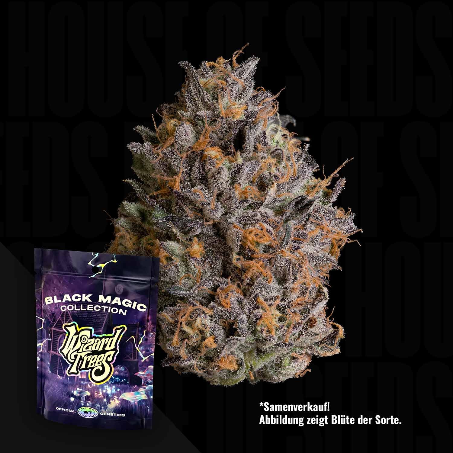 Wizard Trees Black Bow 3er Packung