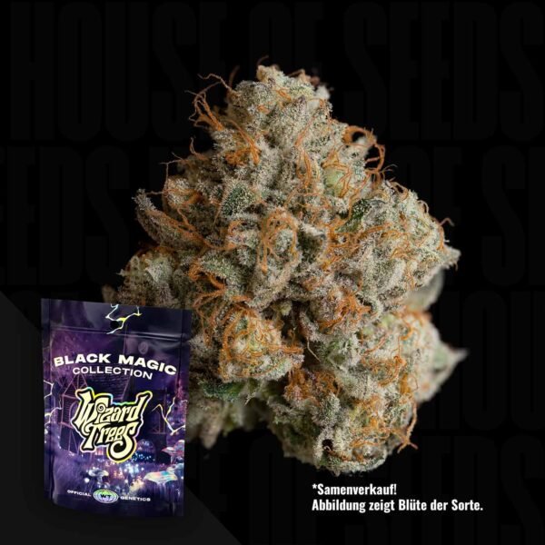 Wizard Trees Night Ritual 3er Packung