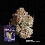 Wizard Trees Obsidian 3er Packung