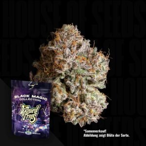 Wizard Trees Obsidian 3er Packung