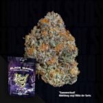 Wizard Trees Potion 3er Packung