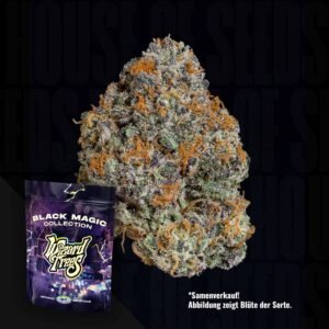 Wizard Trees Potion 3er Packung