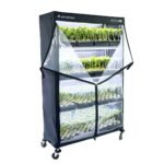 Athena VPDome Set (Hülle u. Regal)