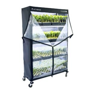 Athena VPDome Set (Hülle u. Regal)