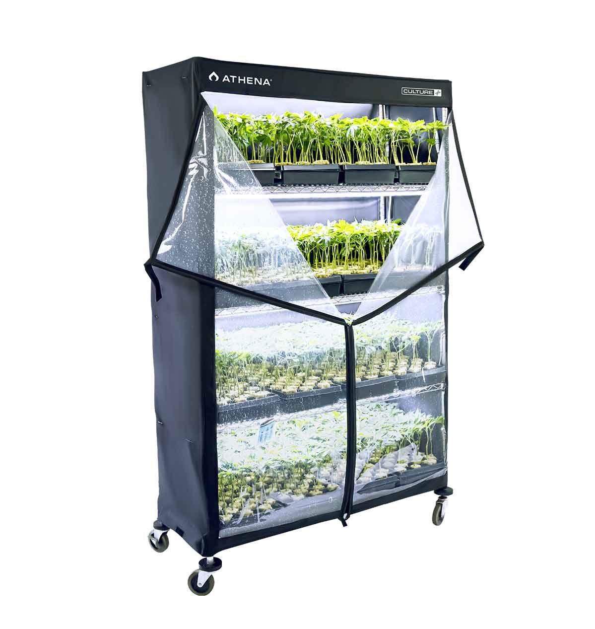 Athena VPDome Set (Hülle u. Regal)