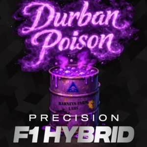 Barneys Farm Durban Poison F1 3er Packung + 3er Gift Pack gratis dazu