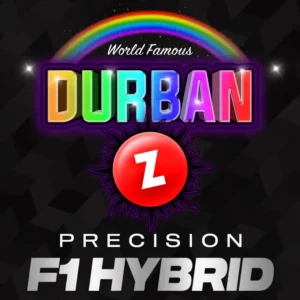 Barneys Farm Durban Z F1 3er Packung + 3er Gift Pack gratis dazu