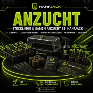Anzucht