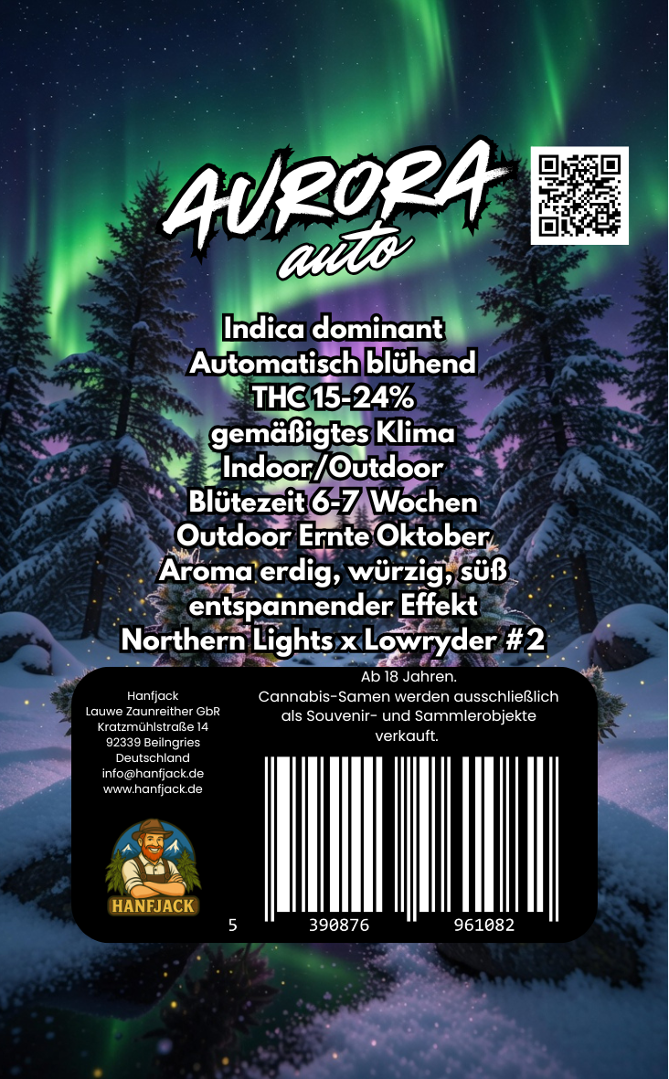 Hanfjack Seeds Aurora Auto - 3 Seeds – Bild 2