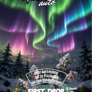 Hanfjack Seeds Aurora Auto - 3 Seeds