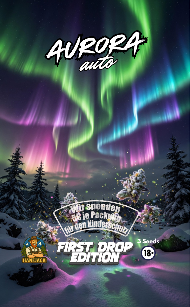 Hanfjack Seeds Aurora Auto - 3 Seeds