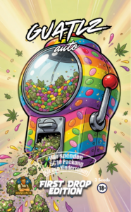 Hanfjack Seeds Guatlz Auto - 3 Seeds