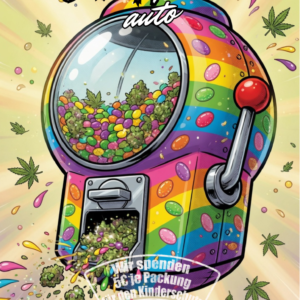 Hanfjack Seeds Guatlz Auto - 3 Seeds