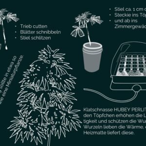 Hubey Bio Rooting Gel 30 ml