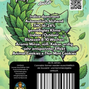 Hanfjack Seeds Katzenminze Auto – 3 Seeds