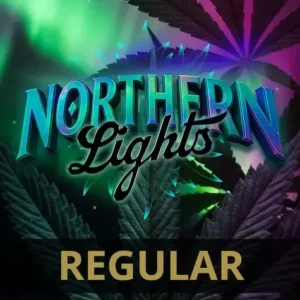 Barneys Farm Northern Lights Regular 5er Packung + 5er Gift Pack gratis dazu