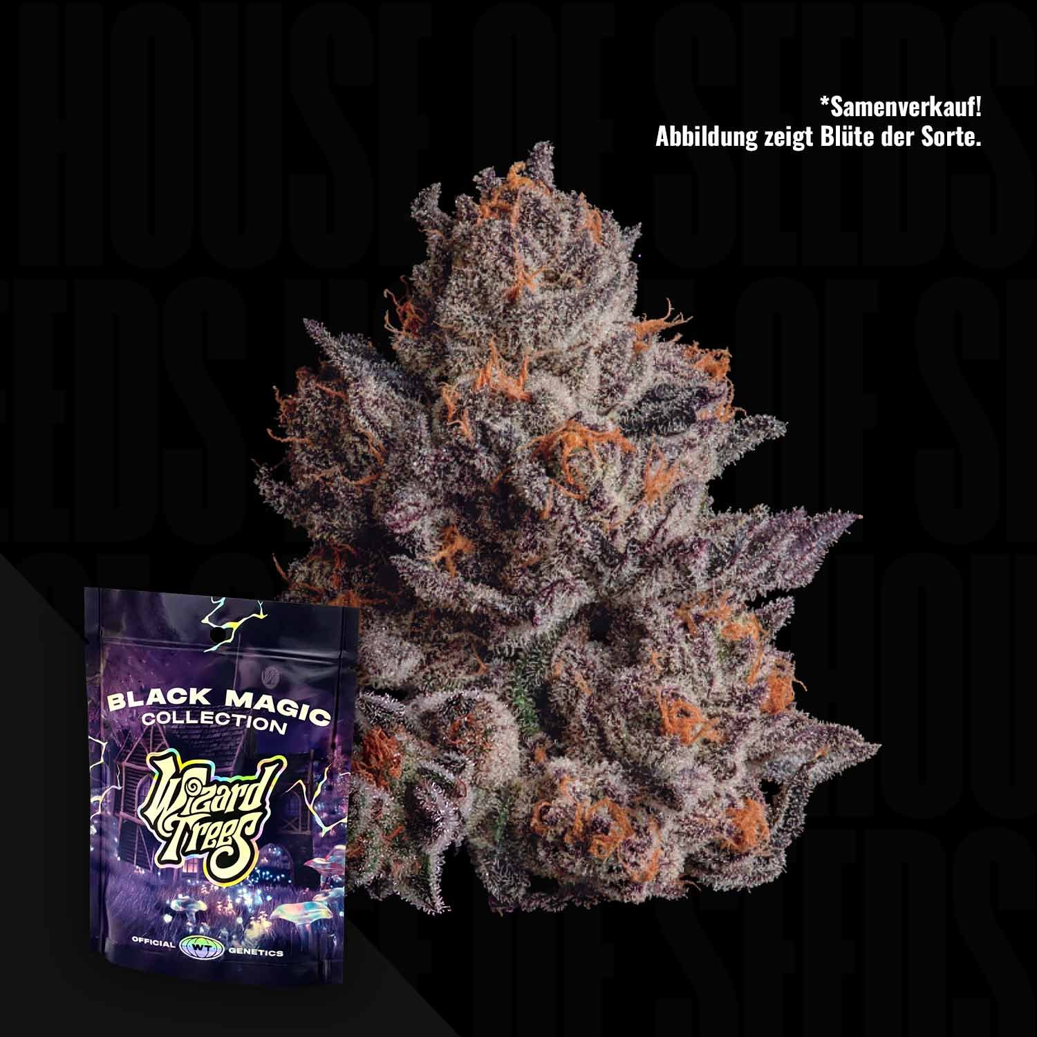 Wizard Trees Cauldron 3er Packung