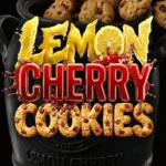 Barneys Farm Lemon Cherry Cookies Auto 3er Packung + 3er Gift Pack gratis