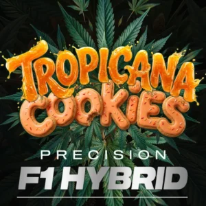 Barneys Farm Tropicana Cookies Auto 3er Packung + 3er Gift Pack gratis