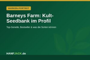 Mehr über den Artikel erfahren Barneys Farm: Die besten Sorten der Kult-Seedbank