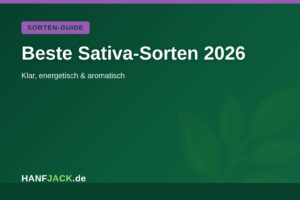 Mehr über den Artikel erfahren Beste Sativa-Sorten 2026 im Überblick