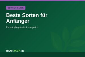 Mehr über den Artikel erfahren Beste Cannabis-Sorten für Anfänger 2026