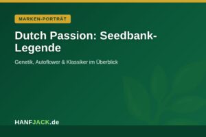 Mehr über den Artikel erfahren Dutch Passion: Sorten & Highlights der Seedbank